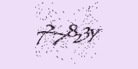 Защитный код