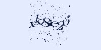 Защитный код