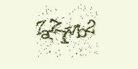Защитный код